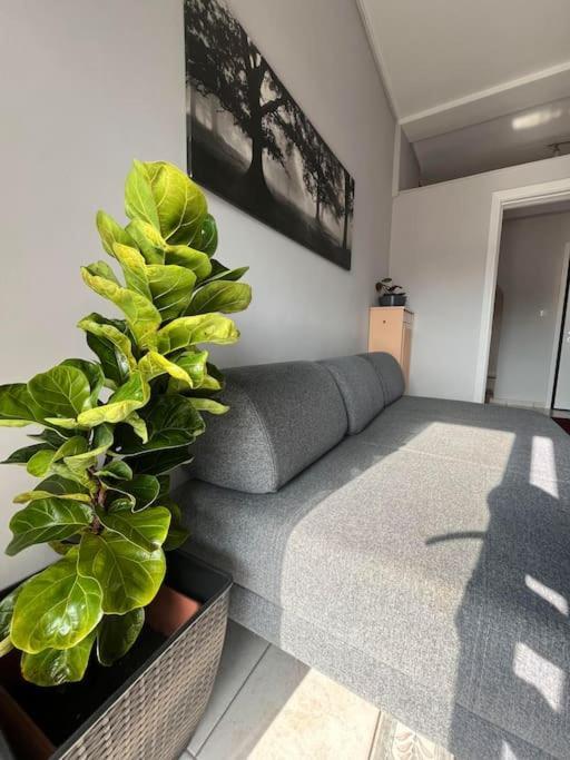 Maria'S Sunlit Apartment Piraeus Exterior photo